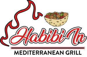 cropped-HABIBI-IN-1-scaled-300x197